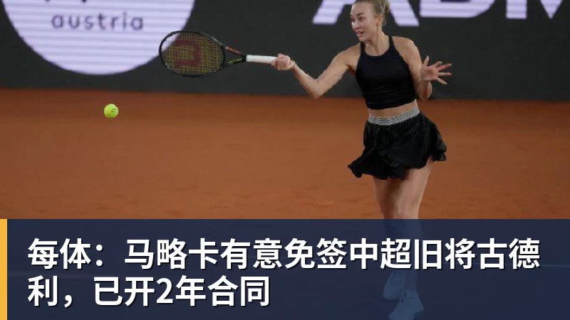 完美体育每体：马略卡有意免签中超旧将古德利，已开2年合同